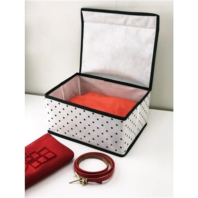 Коробка для хранения вещей с крышкой Eco White, 25х19х13 см