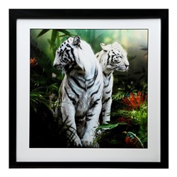 Картина "Бенгальский тигр-2" 50х50(54х54) см