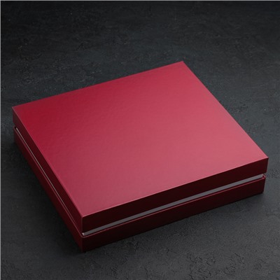 Набор столовый «Уралочка», 24 предмета, толщина 2 мм, (М13), декоративная коробка