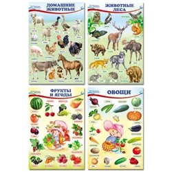 3215 Набор А4 мини-плакатов Домашние и лесные животные,фрукты и ягоды, овощи