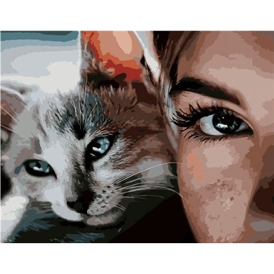 Картина по номерам 40х50 - Котик и девушка