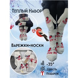 Комплект варежки и носки овечья шерсть снегири