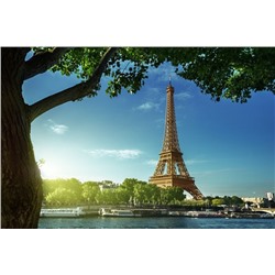 3D Фотообои «Летний день в Париже»