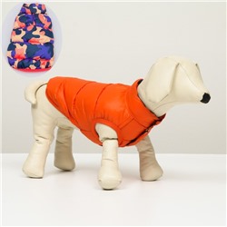 Куртка для собак двухсторонняя с принтом, размер 10 (ДС 25,ОГ 34, ОШ 24 см),коралловая