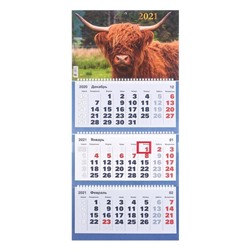 Календари квартальные трио "Символ года, 2021-7" 31 х 69 см