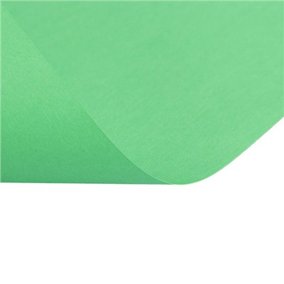 Бумага цветная А4, 50 листов Calligrata Интенсив, зелёная, 80 г/м²