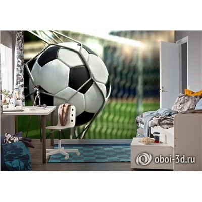 3D Фотообои «Футбольный мяч в сетке»
