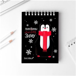 Скетчбук "Пингвины любят зиму", А6, 80 листов