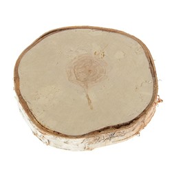 Спил березы, шлифованный с одной стороны, диаметр 20-25 см, толщина 1-3 см