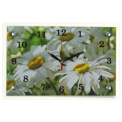 Часы настенные, серия: Цветы, "Ромашки", 20х30  см, микс