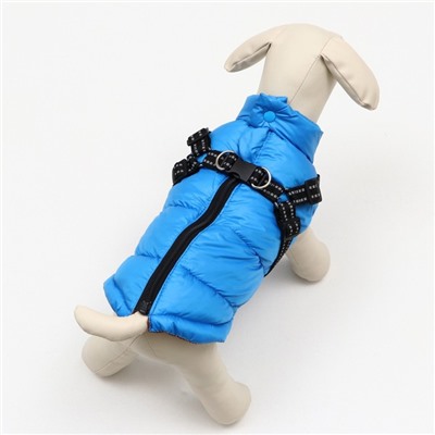 Куртка для собак со шлейкой, размер 12 (ДС 28 см, ОГ 38 см, ОШ 27 см),  лазурная
