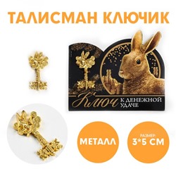 Сувенирный ключ «Ключ к денежной удачи», металл, 3 х 5 см