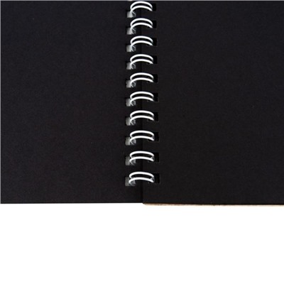 Скетчбук А5, 22 листа, на гребне, ЗХК "Я - Художник!", блок чёрная бумага, 80 г/м², обечайка