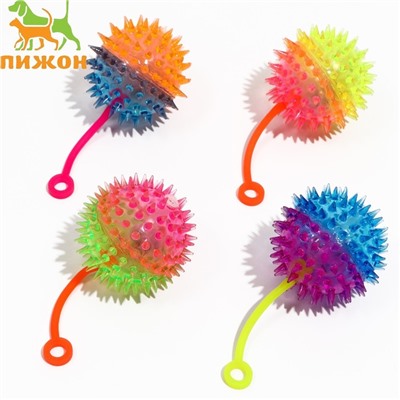 Мяч-дразнилка для собак игольчатый светящийся, TPR, 6 см, микс цветов