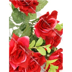 розы ROZ-11-40-4-M