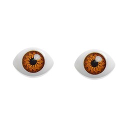 Глаза, набор 22 шт., размер радужки 9 мм, цвет карий