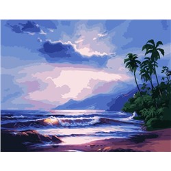 Картина по номерам 40х50 - Тропический пляж