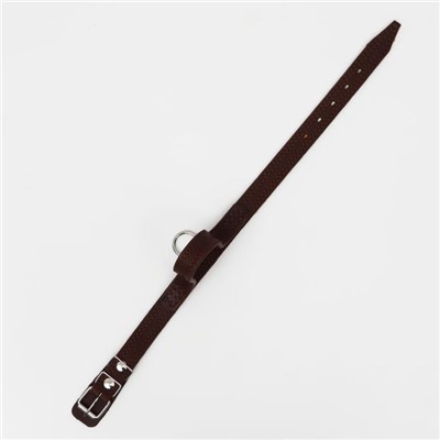Ошейник кожаный тройной, с ручкой, 57 х 2.5 см, ОШ 35-45 см, коричневый
