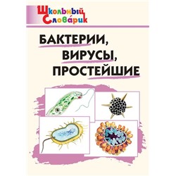 Бактерии, вирусы, простейшие 2022 | Петрушина Е.C.