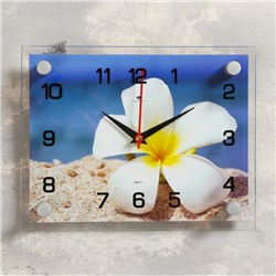 Часы настенные, серия: Цветы, "Плюмерия на песке", 20х26  см, микс