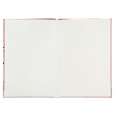 Бизнес-блокнот (скетчбук) А6, 80 листов «Мягкие колючки», твёрдая обложка, блок 100 г/м2
