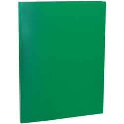 Папка с пластиковым скоросшивателем А4 Calligrata, зелёная, корешок 14 мм, до 100 листов, 500 мкм