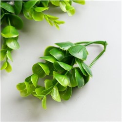 Набор декоративных листиков "Астра 66" 13 см,(10шт) зелёный