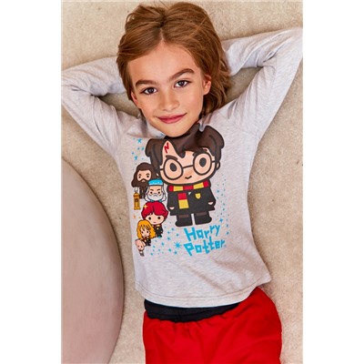 Детская пижама с брюками Juno AW21BJ627 Гарри Поттер красный/серый меланж