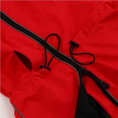 Комбинезон-дождевик (M50) для бультерьера, АСТа, колли, шарпея (мальчик), красный