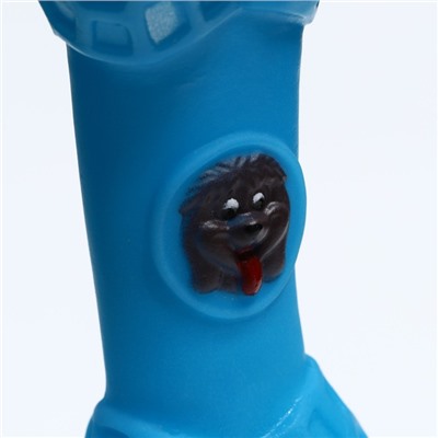 Игрушка пищащая "Кость с портретом" для собак, 15 см, голубая