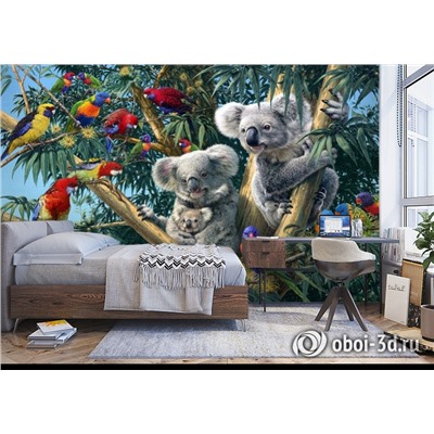 3D Фотообои «Тропический коалы»