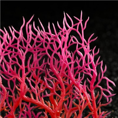 Растение искусственное аквариумное, светящееся, 15 см, красное