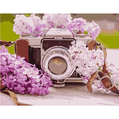 Картина по номерам 40х50 - Старый фотоаппарат