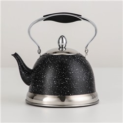 Чайник заварочный «Звёздное небо», 1,2 л, с металлическим ситом, индукция, цвет чёрный