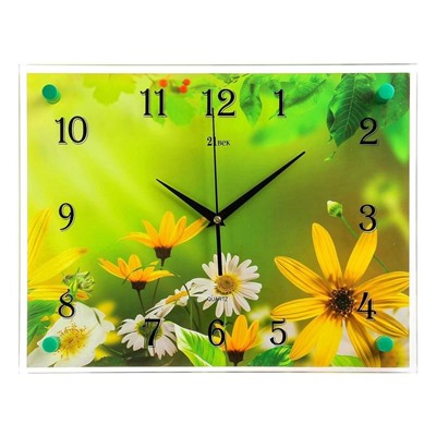Часы настенные, серия: Цветы, "Ромашки", 30х40 см микс
