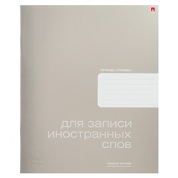 Тетрадь для записи иностранных слов А5, 48 листов Platinum, обложка металлизированный картон
