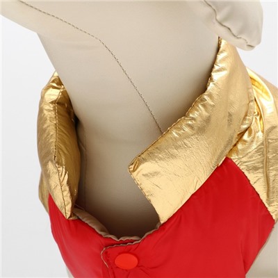 Куртка для собак с утяжкой размер 10 (ДС 25, ОГ 34,ОШ 24), золото-красная