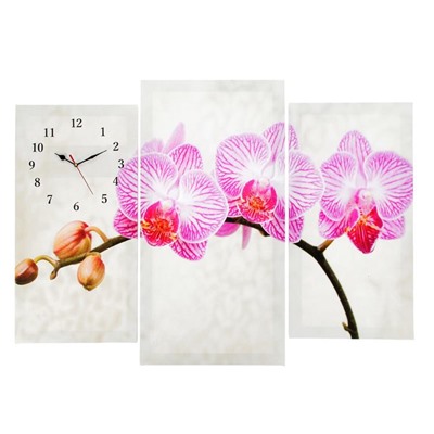 Часы настенные, модульные, серия: Цветы, "Розовые цветки орхидеи", 60х80 см, микс