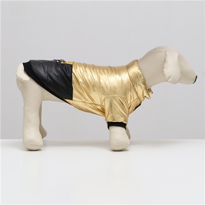 Куртка для собак "Космонавт", размер 8, чёрно-золотая (ДС 24, ОШ 22, ОГ 32 см)