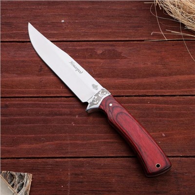 Нож охотничий "Новгород" сталь - 40х13, рукоять - бакелит, 27 см