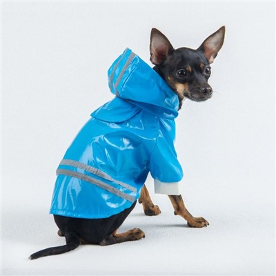 Куртка со светоотражающими полосами, размер M, голубая (ДС 34 см, ОШ 40 см,ОГ 44 см)