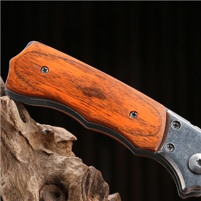 Нож складной "Фарт" сталь - 420, рукоять - бакелит, 20 см