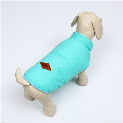Куртка для собак, M (ДС 25 см, ОШ 37 см, ОГ 37 см), голубая