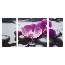 Картина модульная на стекле "Орхидеи"  2-25*50, 1-50*50 см,    100*50см