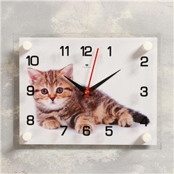 Часы настенные, серия: Животный мир, "Котенок", плавный ход, 20 х 26 см