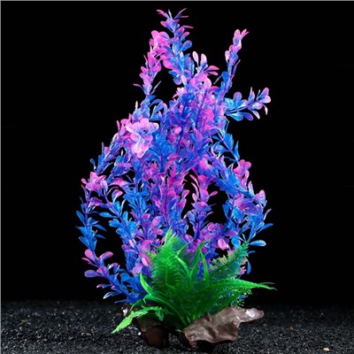 Растение искусственное аквариумное на платформе в виде коряги, 40 см, сине-розовое, 1 шт.