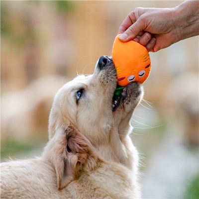 Игрушка для собак «Морковка» с пищалкой, 18 см, оранжевая