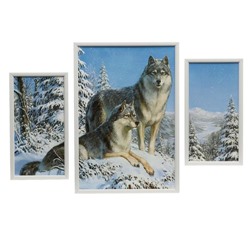 Модульная картина "Волки" 18х35 (2), 34х50, 50х70 см