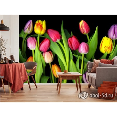 3D Фотообои «Тюльпаны на темном фоне»