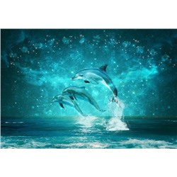3D Фотообои «Дельфины под звездным небом»
